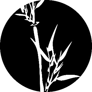 如何利用百度识图以图搜索的功能搜索相关信息