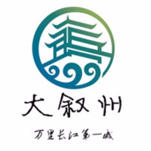 宜宾这几个人也太胆大了,居然故意损毁警车!