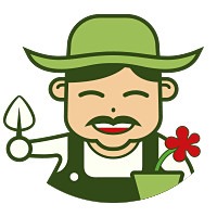 腊梅怎么养?腊梅养护小妙招,花开不断!